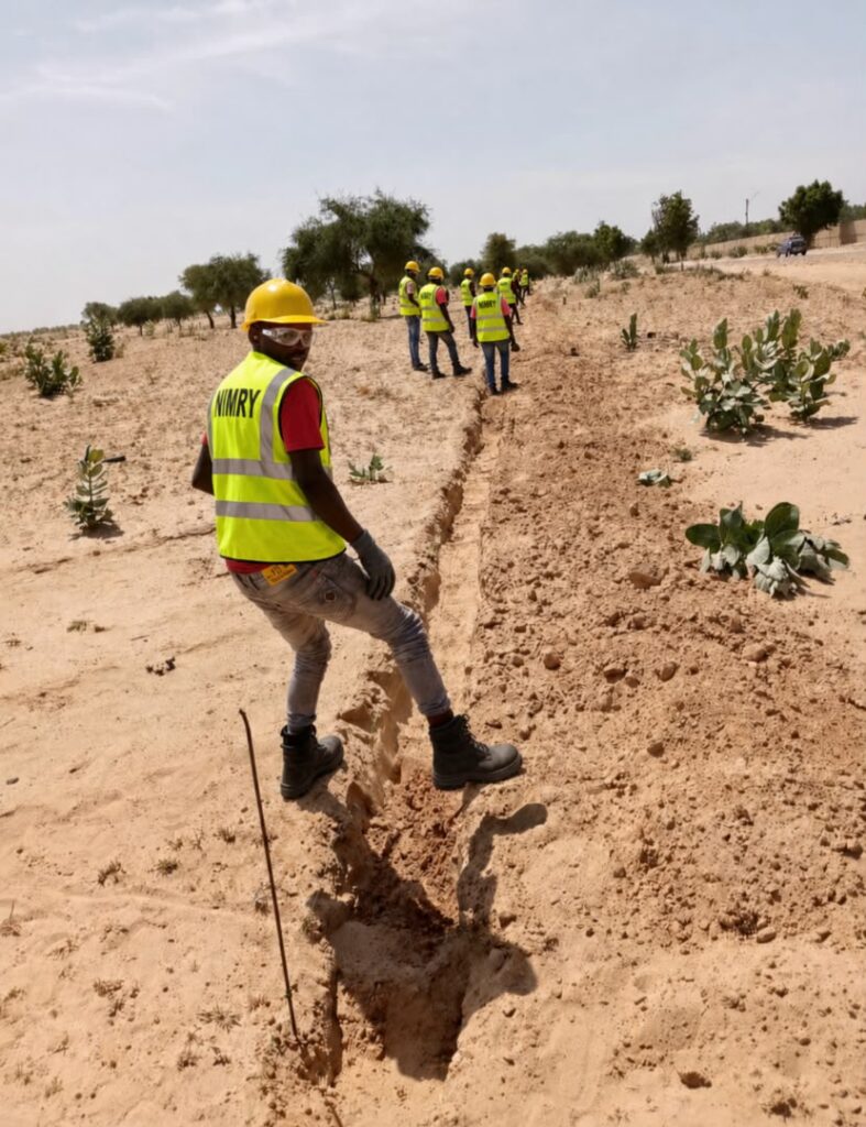 Backbone fibre Diffa – frontière Tchad (217 km)